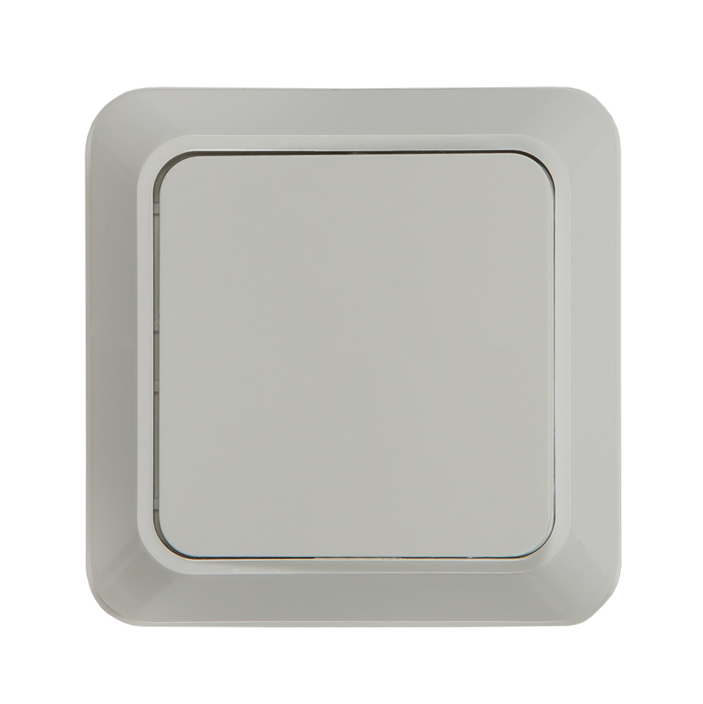 Выключатель одноклавишный BOLLETO белый накладной 7021 IN HOME