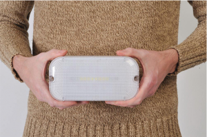 Светодиодный светильник ЖКХ 06 N Д 3000К с аккум.