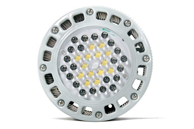 Светодиодный светильник ПСС 30 КОЛОБОК К1