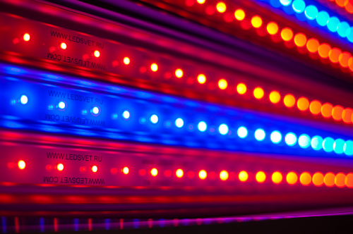 Тепличные светильники